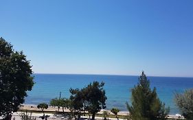 Estrella Rooms